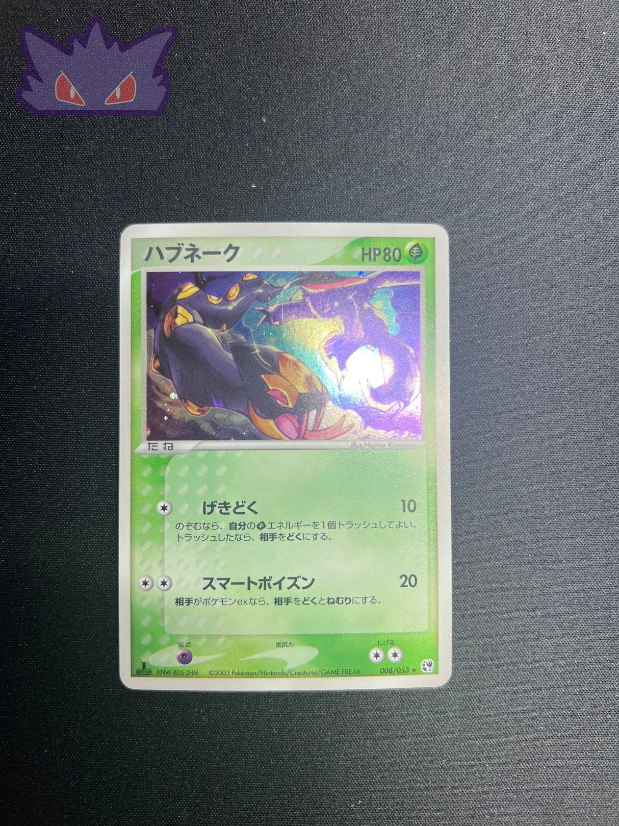 Seviper Holographique ADV2 008 GengyGallery