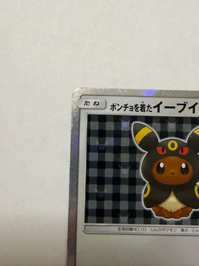 Poncho-wearing Eevee SM-P 141 GengyGallery