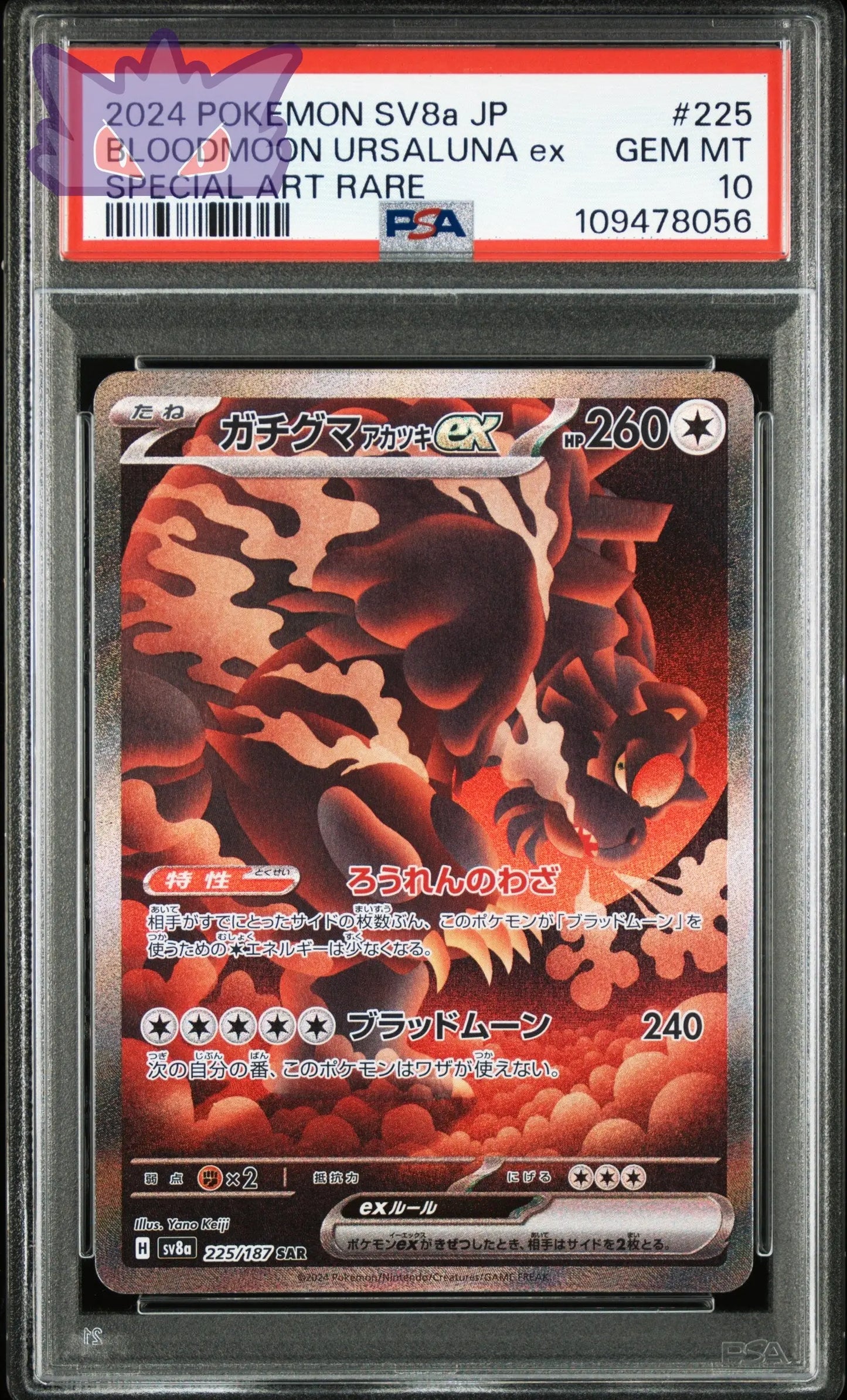 Carte Pokémon Japonaise Ursaking SAR sv8a 225 PSA 10 GengyGallery
