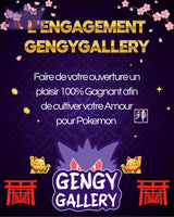 Fukubukuro–Sac du destin Japonais Pokémon Japonais GengyGallery