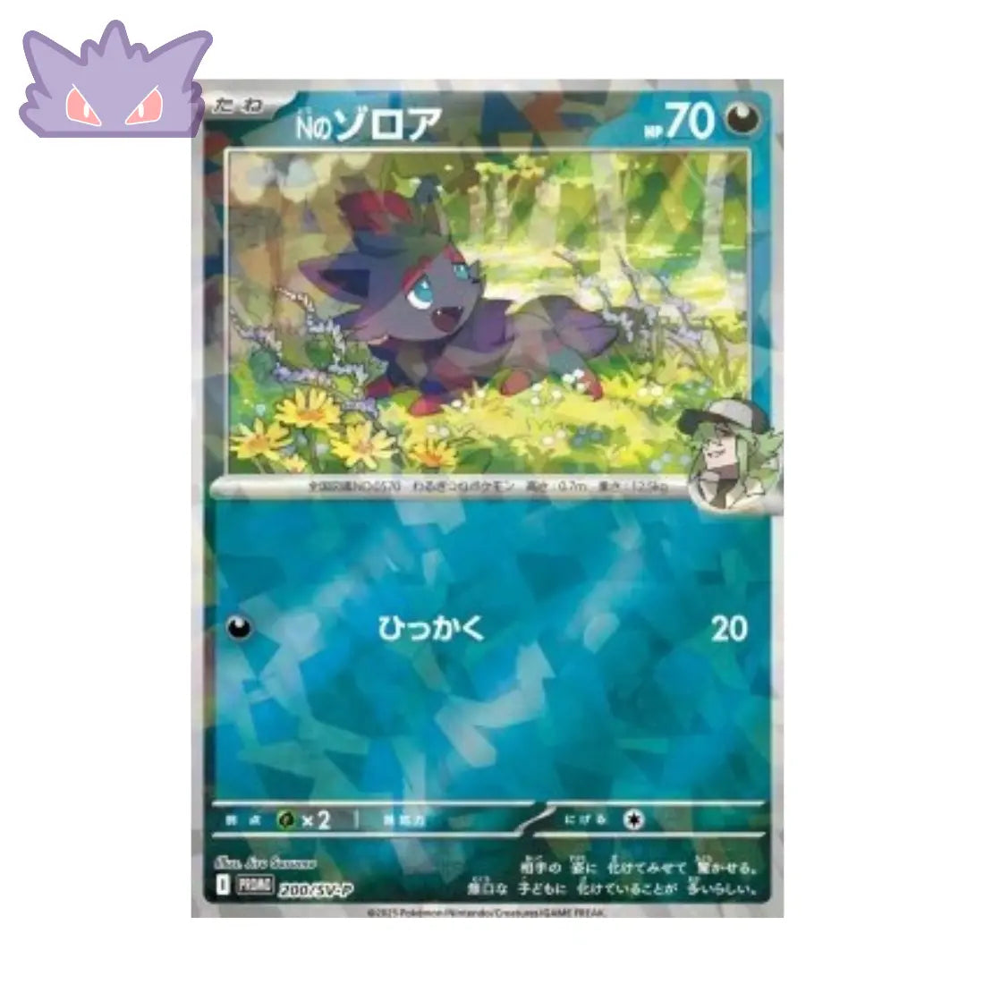Carte Pokémon Japonaise Promos Écarlate et Violet SV-P 200 Zorua de N GengyGallery