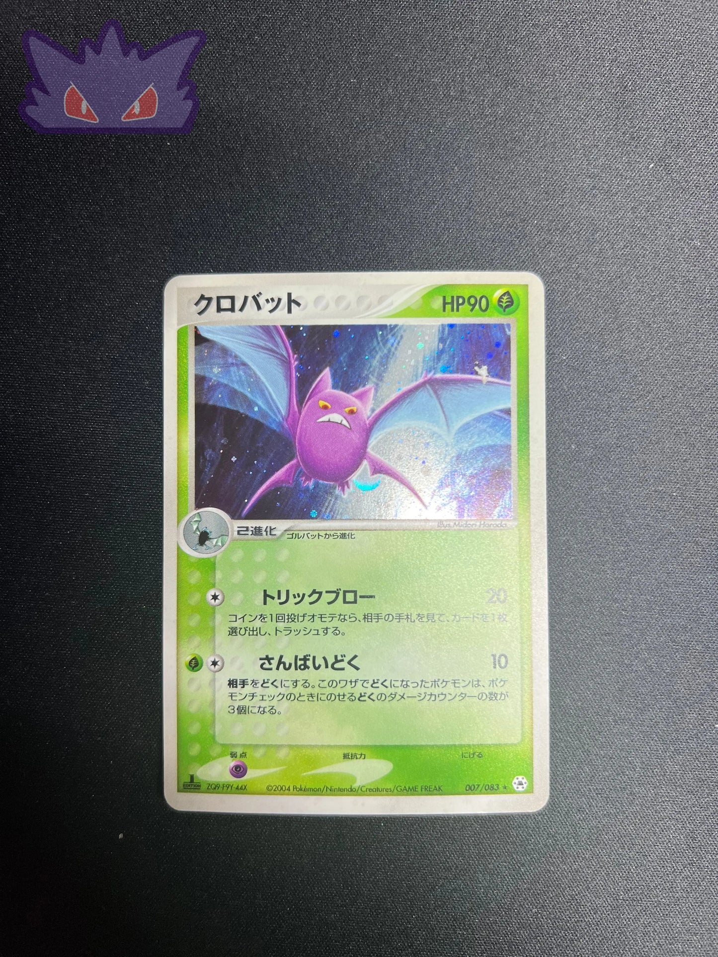 Nostenfer Holographique ADV4 007 GengyGallery