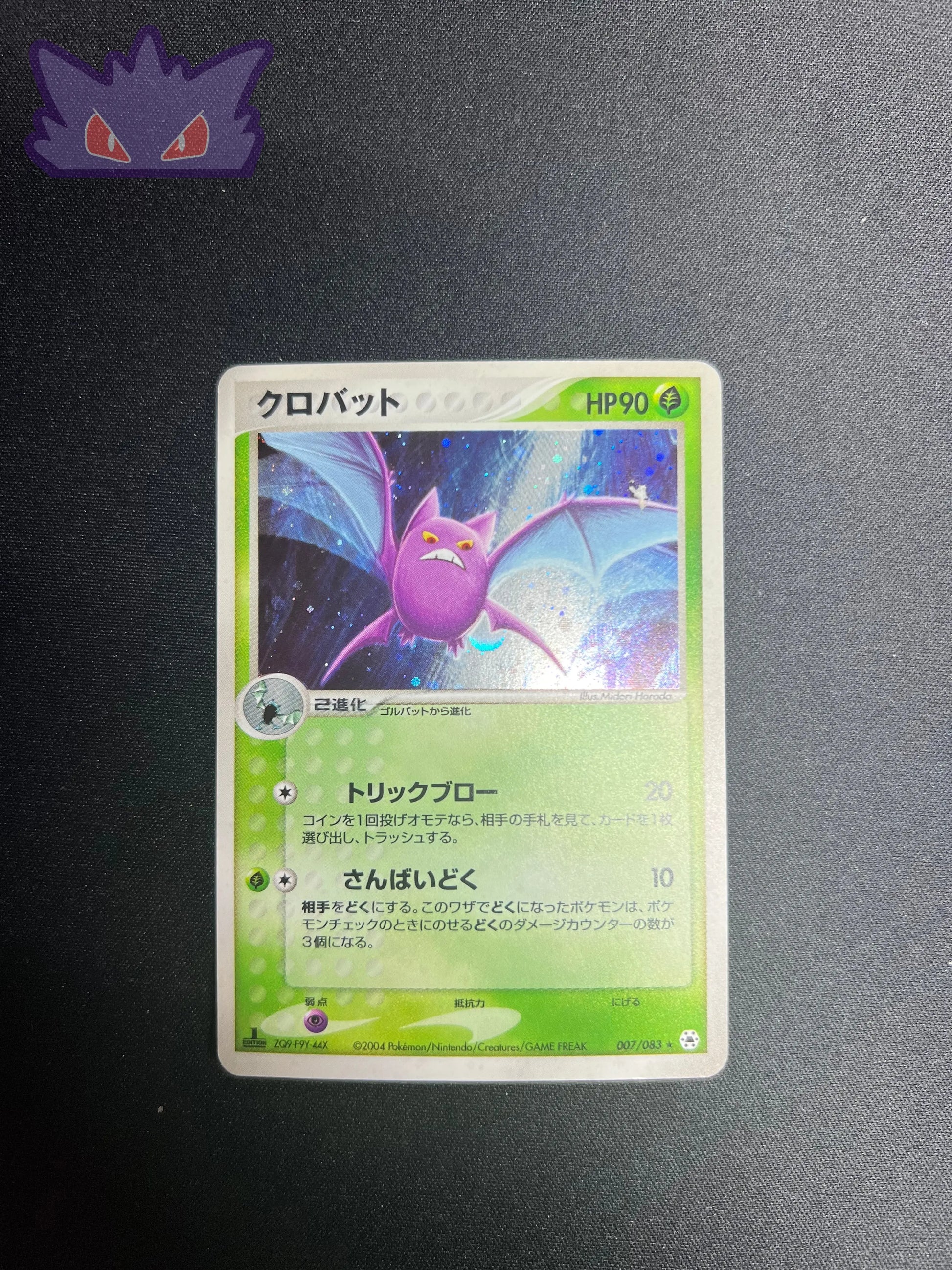 Nostenfer Holographique ADV4 007 GengyGallery