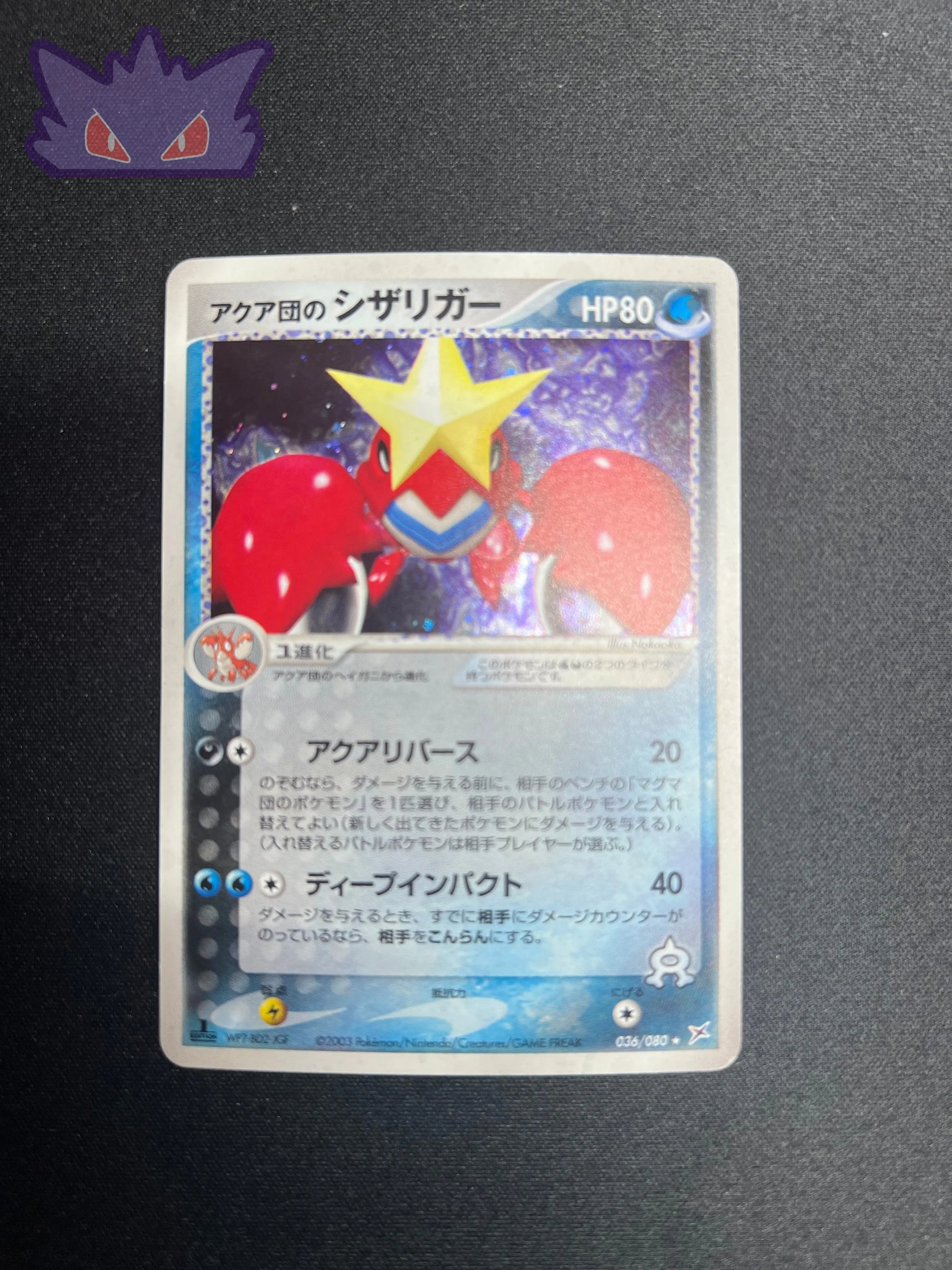 Colhomard de Team Aqua ADVex1 036 #2 GengyGallery