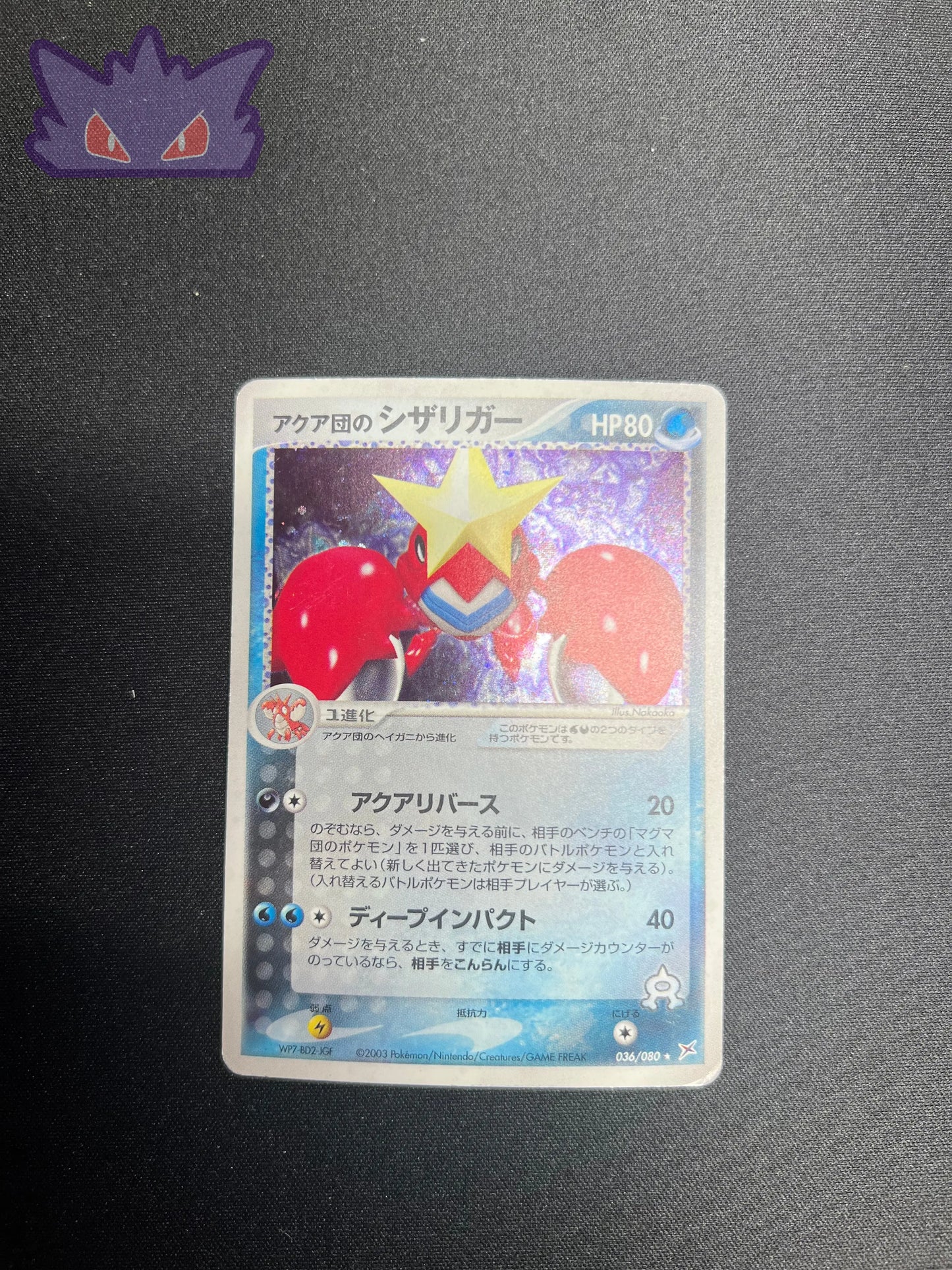 Colhomard de Team Aqua ADVex1 036 #1 GengyGallery