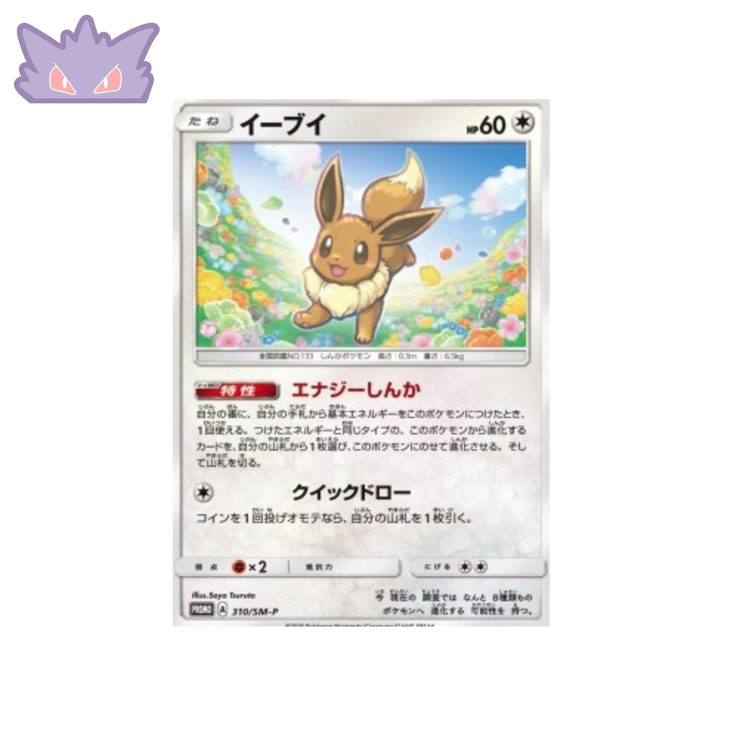 Carte Pokémon Japonaise Promotionnelle GYM Evoli 310 SM-P GengyGallery
