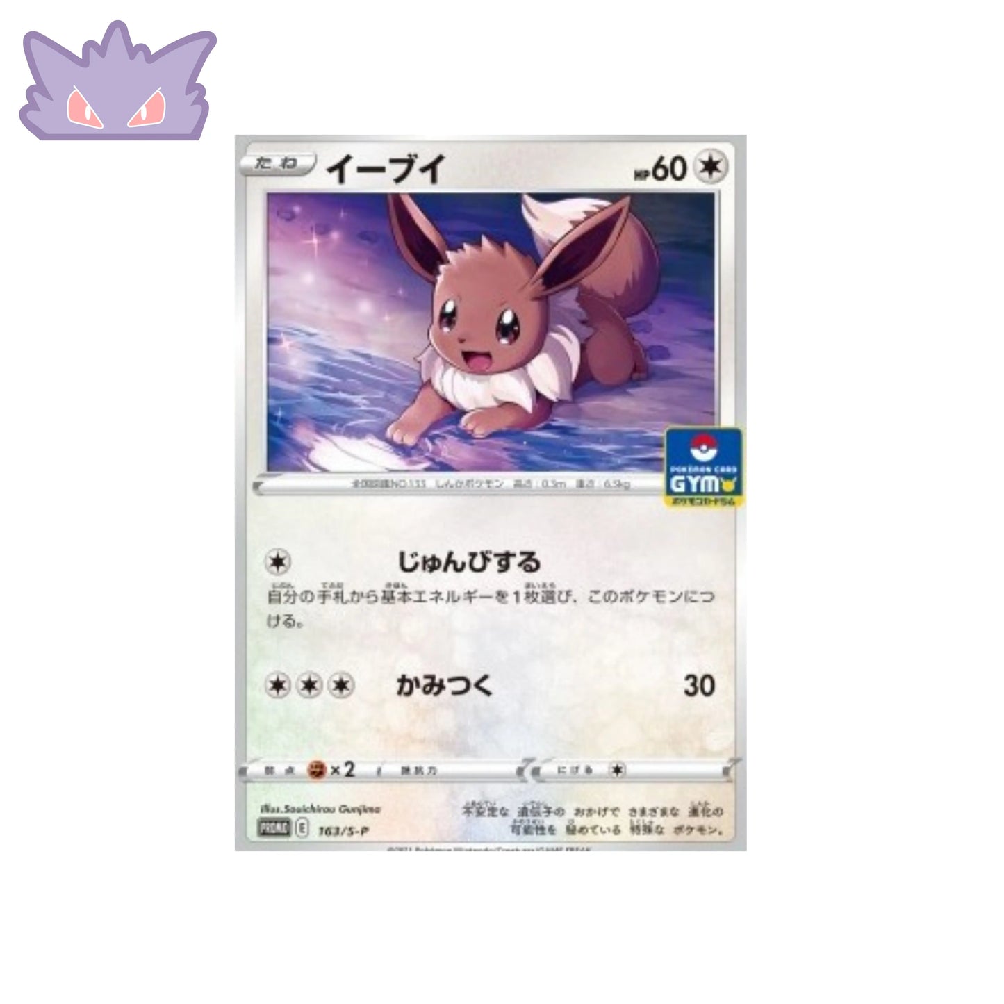 Carte Pokémon Japonaise Promotionnelle GYM Evoli 163 S-P GengyGallery