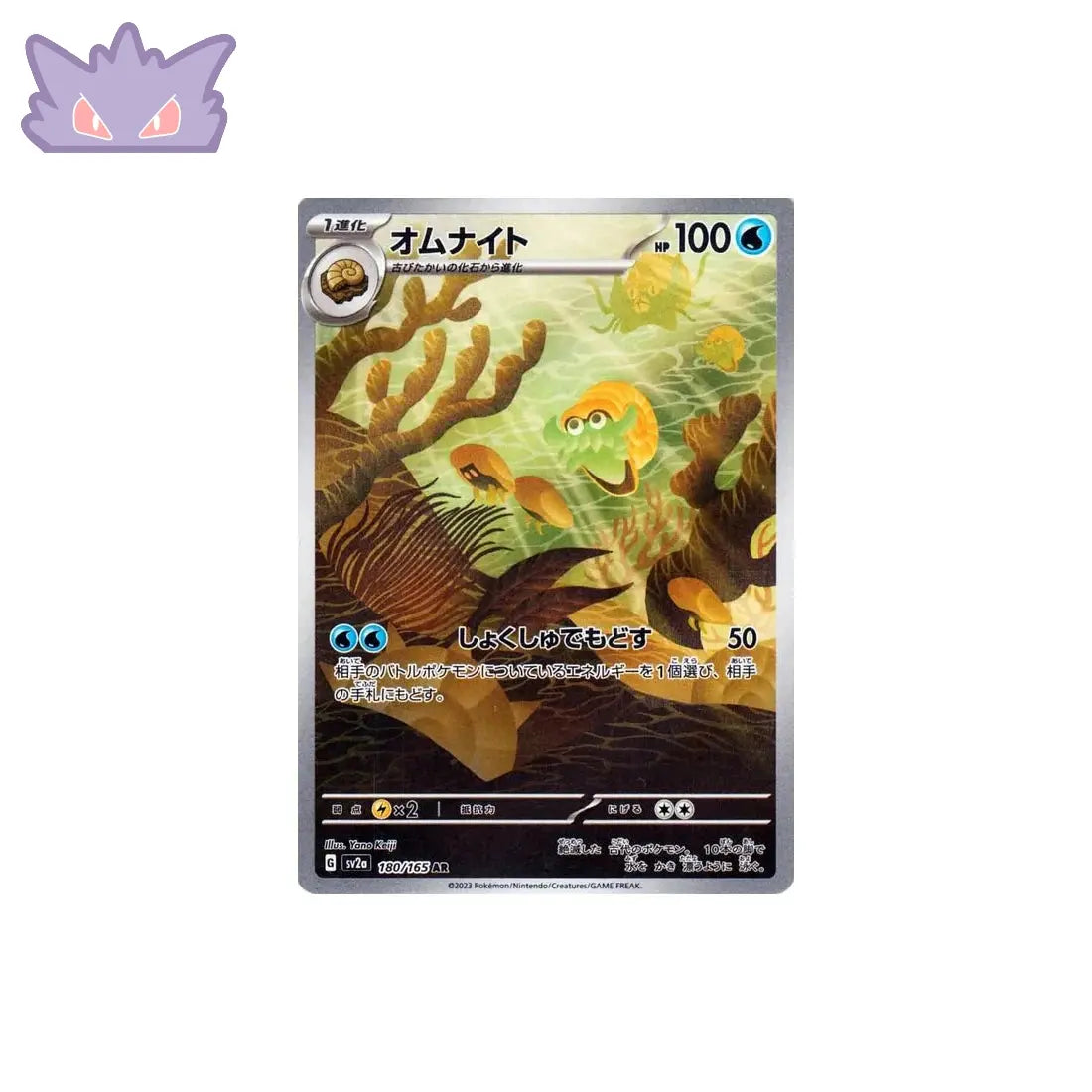 Carte Pokémon Japonaise Amonita AR SV2A 180 GengyGallery
