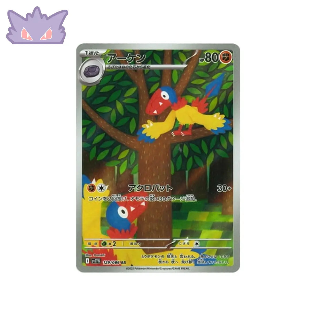 Carte Pokémon Japonaise Arkéapti AR SV11W 129 GengyGallery