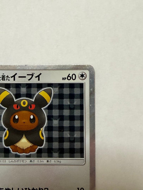 Poncho-wearing Eevee SM-P 141 GengyGallery